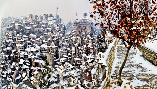 Photograph Murat Germen Muta Morphosis No6 on One Eyeland